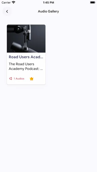 Road Users Academy 스크린샷