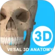 维萨里3D解剖教学