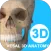 维萨里3D解剖教学