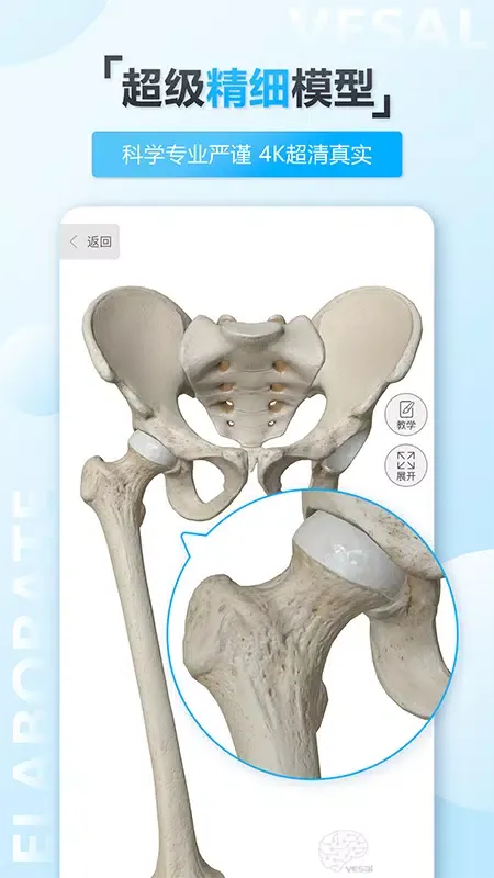维萨里3D解剖教学 스크린샷