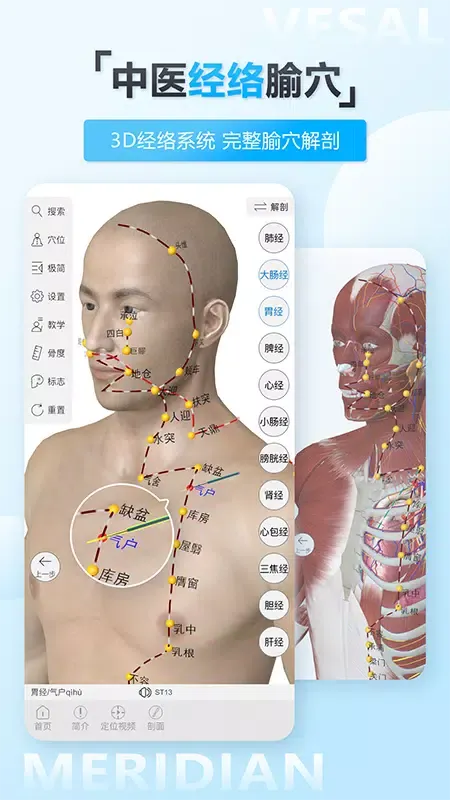 维萨里3D解剖教学 스크린샷