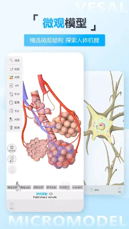 维萨里3D解剖教学 스크린샷