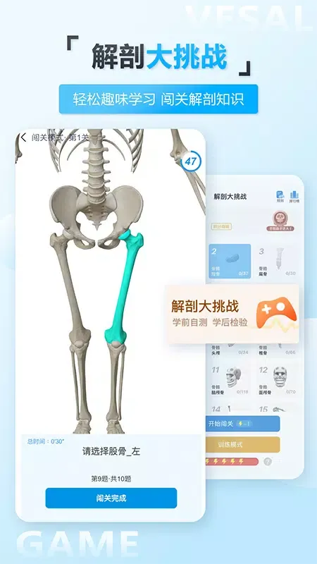 维萨里3D解剖教学 스크린샷