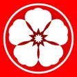 Каркаде