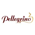 Pellegrino Pellegrino