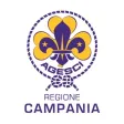 AgesciVote Campania AgesciVote Campania