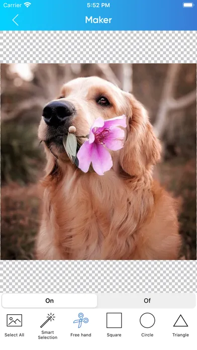 Скриншоты Sticker Maker & Creator