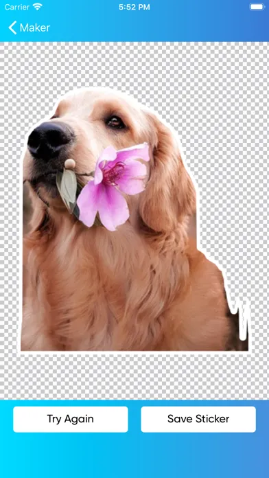 Скриншоты Sticker Maker & Creator