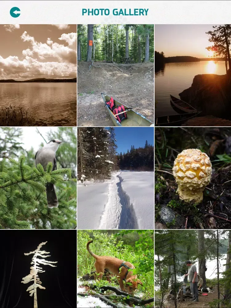 Screenshot di Algonquin Provincial Park iPad