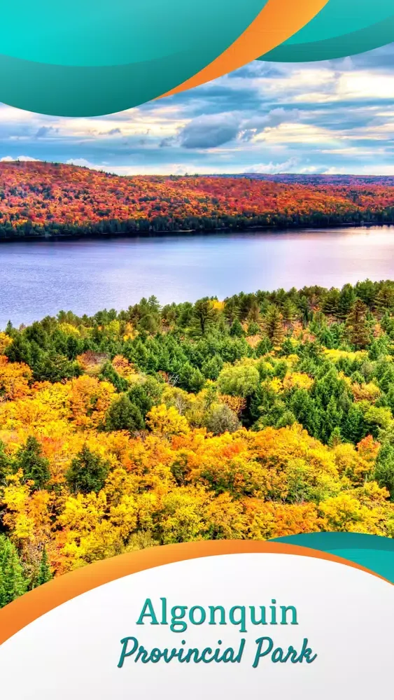 Screenshot di Algonquin Provincial Park