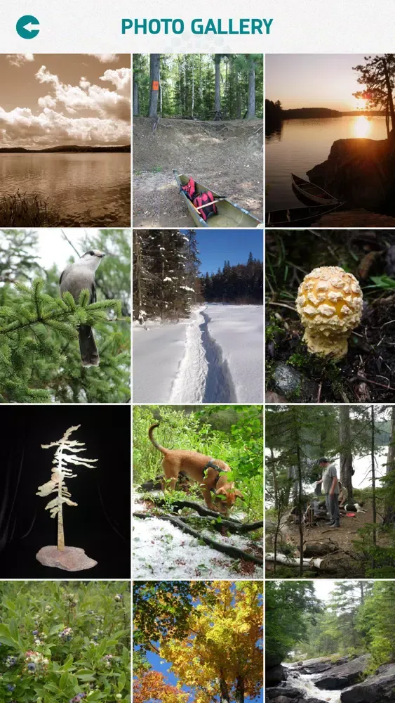 Screenshot di Algonquin Provincial Park