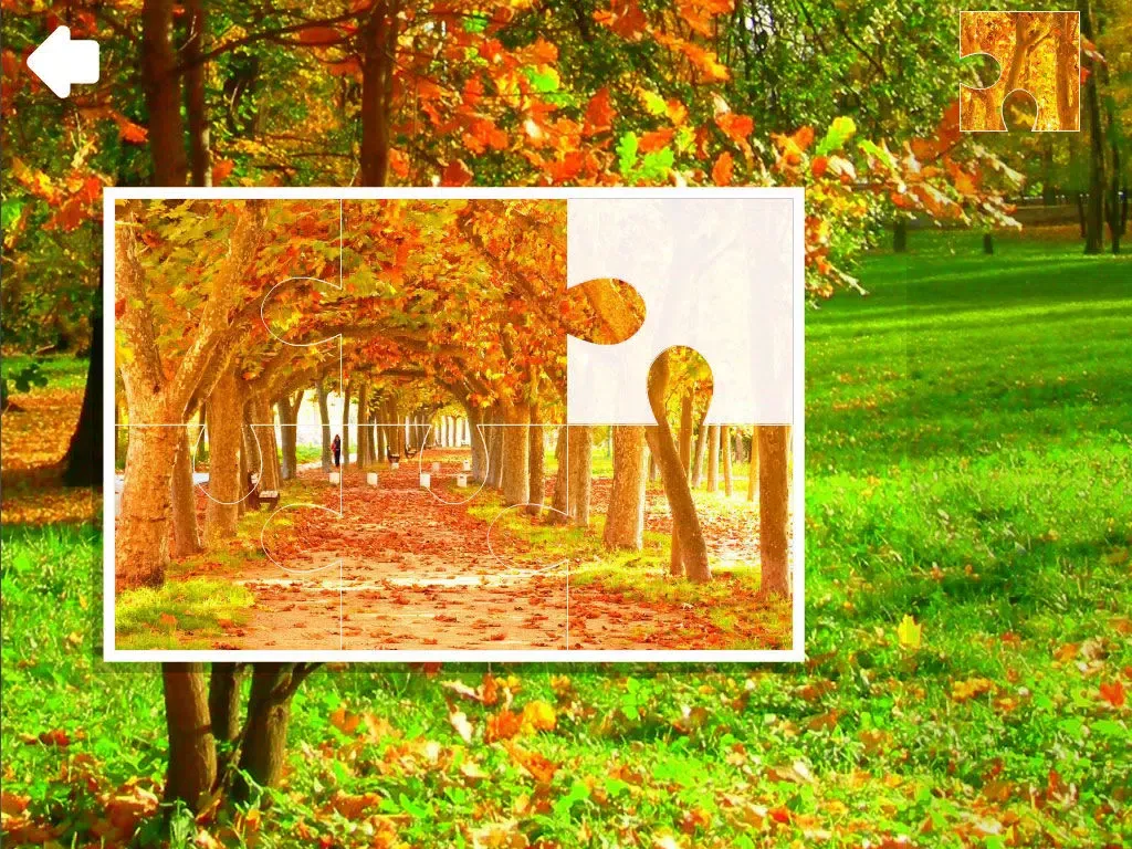 Jigsaw Puzzle Autumn iPad  स्क्रीनशॉट