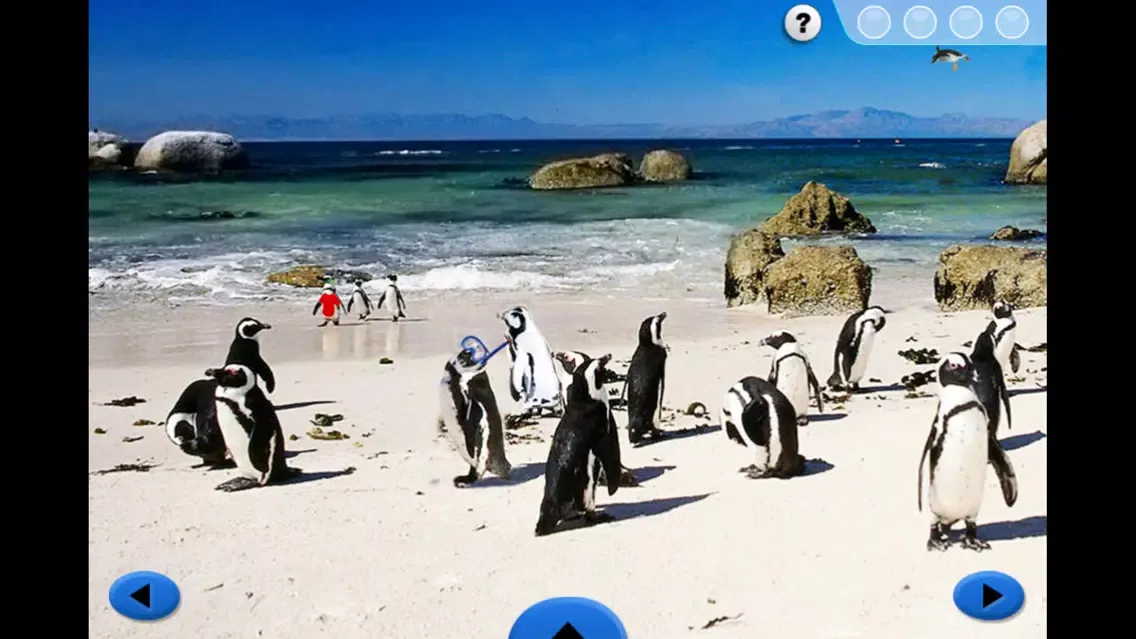 SeaWorld: Penguin Pals Screenshots