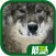 Animal Planet: Wolves