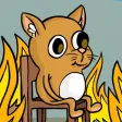 Cat Memes