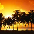 Landscape Wallpapers