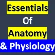 Anatomy and Physiology