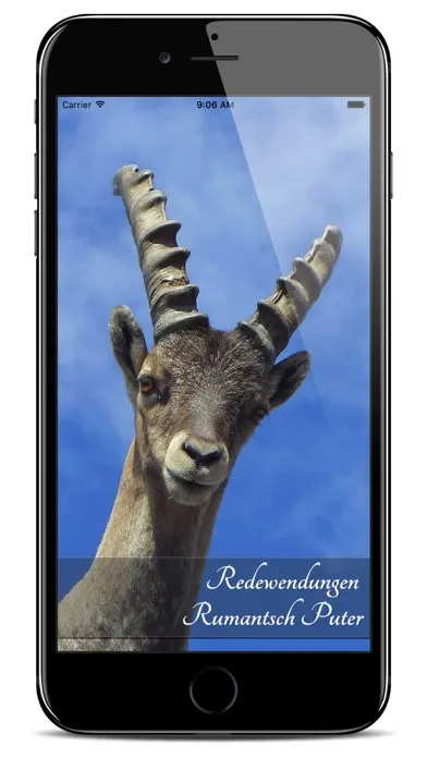 Screenshot di Rumantsch Puter Redewendungen
