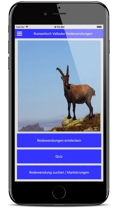 Rumantsch Vallader Redewendung Ekran Görüntüleri