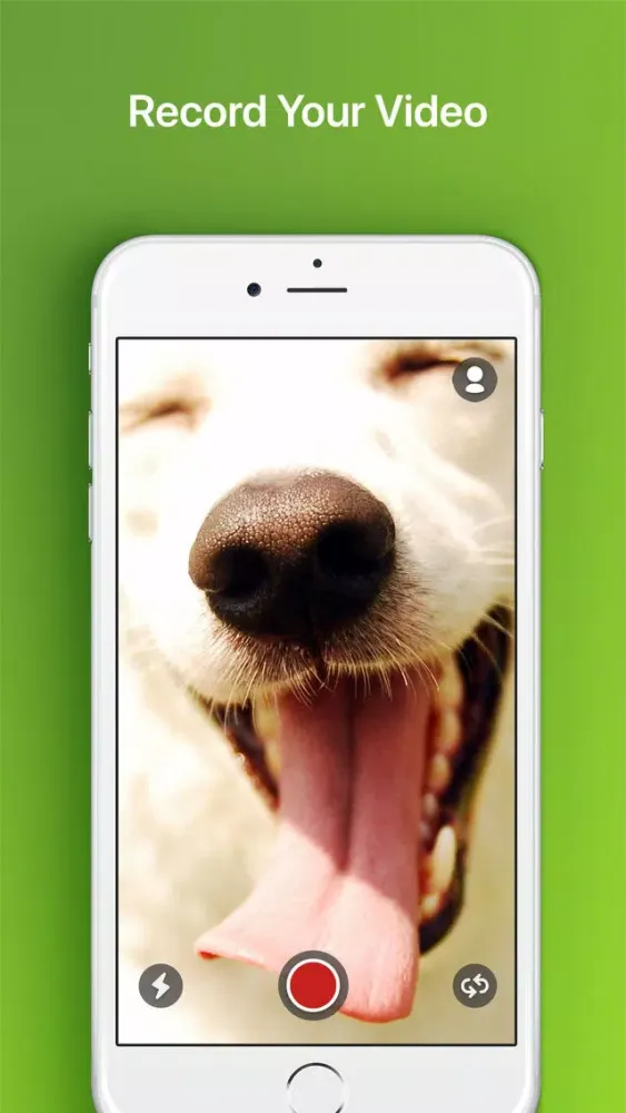 تصاویر Rumble Camera
