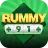 Rummy 91