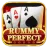 Rummy Perfect