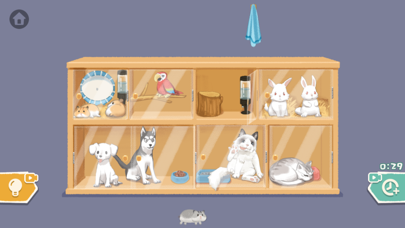 Collection Expert - Decompres Ekran Görüntüleri