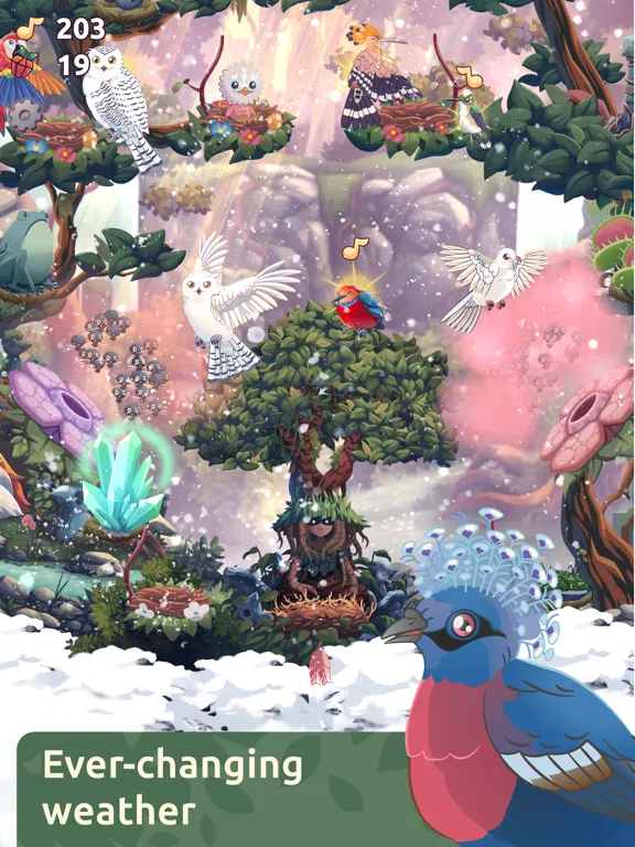Bird Kind iPad  स्क्रीनशॉट