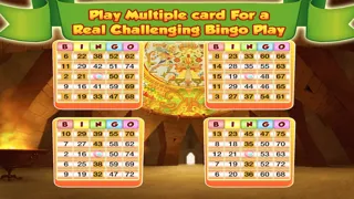 Bingo Master Deluxe Casino - HD Free Screenshots