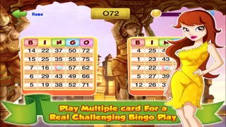 Bingo Master Deluxe Casino - HD Free Screenshots