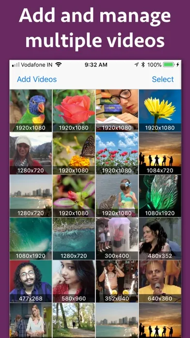 Video Looper Pro স্ক্রিনশট