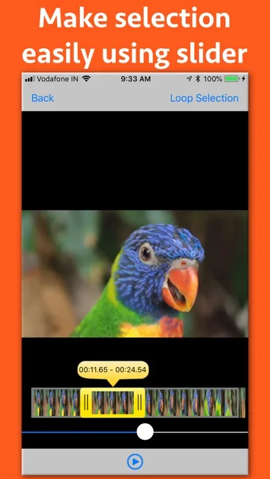Video Looper Pro স্ক্রিনশট