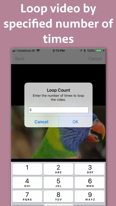 Video Looper Pro স্ক্রিনশট