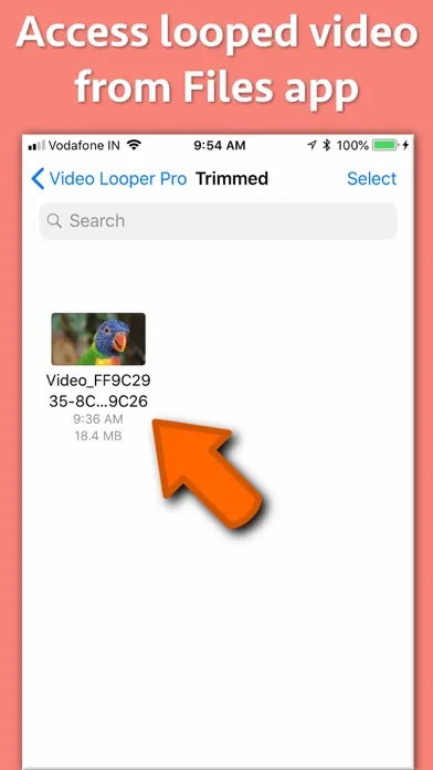 Video Looper Pro স্ক্রিনশট