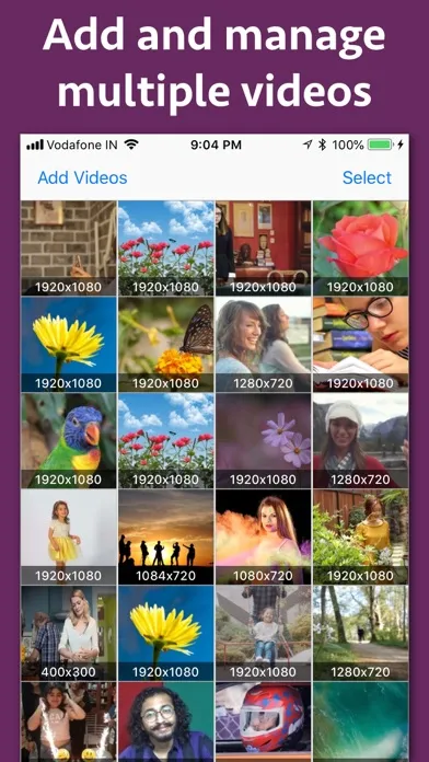 B&W Video Maker स्क्रीनशॉट