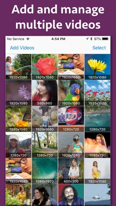 Cinemagraph Maker Screenshots