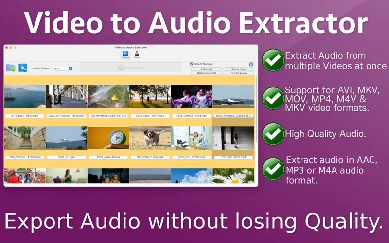 Скриншоты Video to Audio Extractor