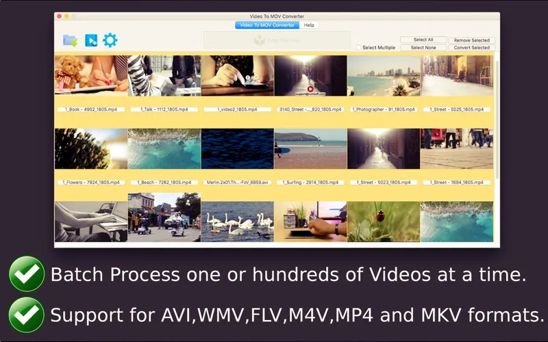 Video To MOV Converter應用截圖