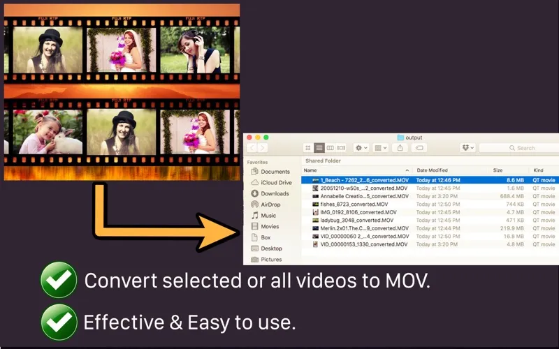 Video To MOV Converter應用截圖
