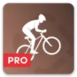 Mountain Bike PRO