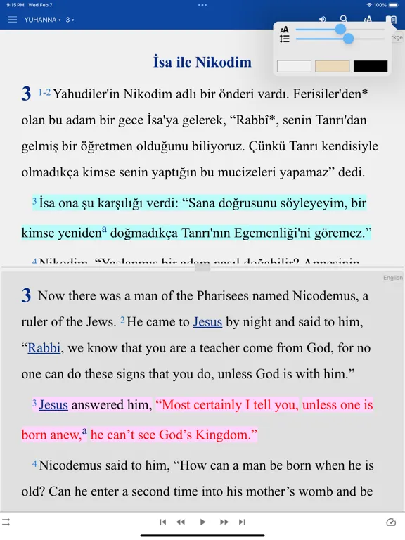 Скриншоты Turkish English Russian iPad 