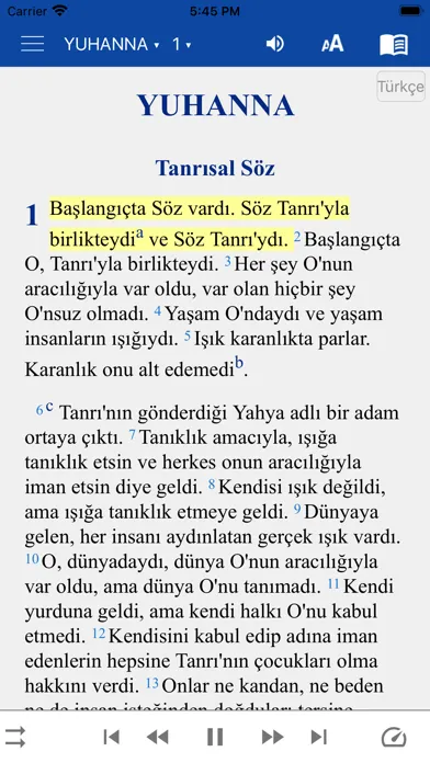 Скриншоты Turkish English Russian