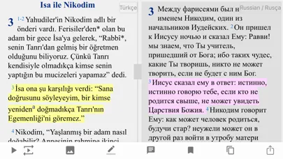 Скриншоты Turkish English Russian