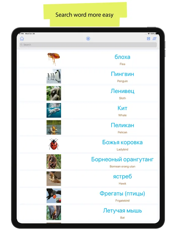 Russian 90000 Words & Pictures iPad Screenshots