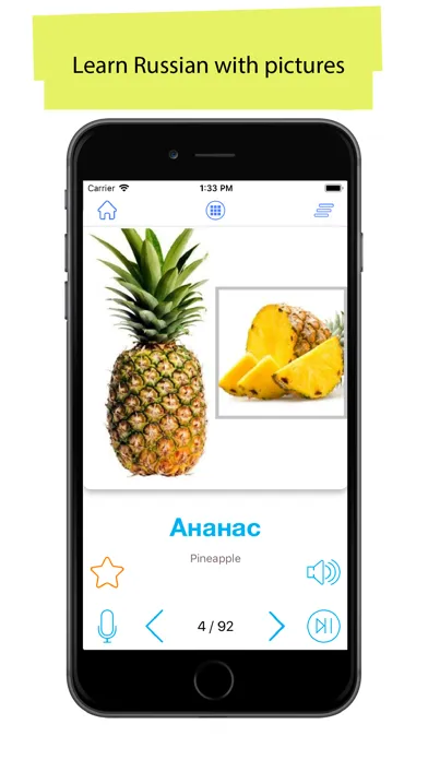 Russian 90000 Words & Pictures Screenshots