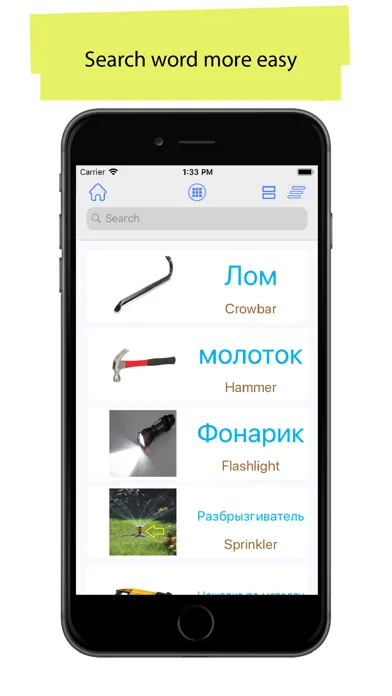 Russian 90000 Words & Pictures Screenshots