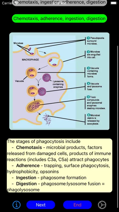 DVM 1st Year Immunology應用截圖