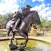 Mecklenburg Trail of History