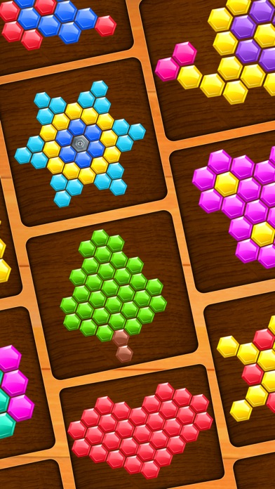 Hexa: Block Puzzle Games应用截图