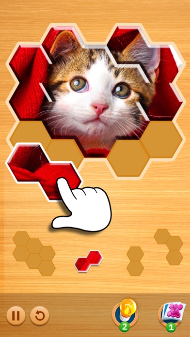 Jigsaw Puzzles Hexa Ⓞ Screenshots